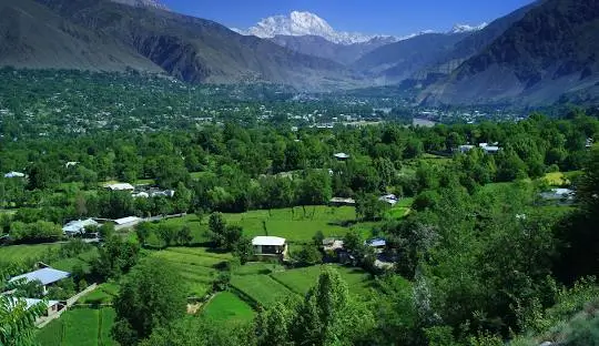 daily-weekly-pick-img